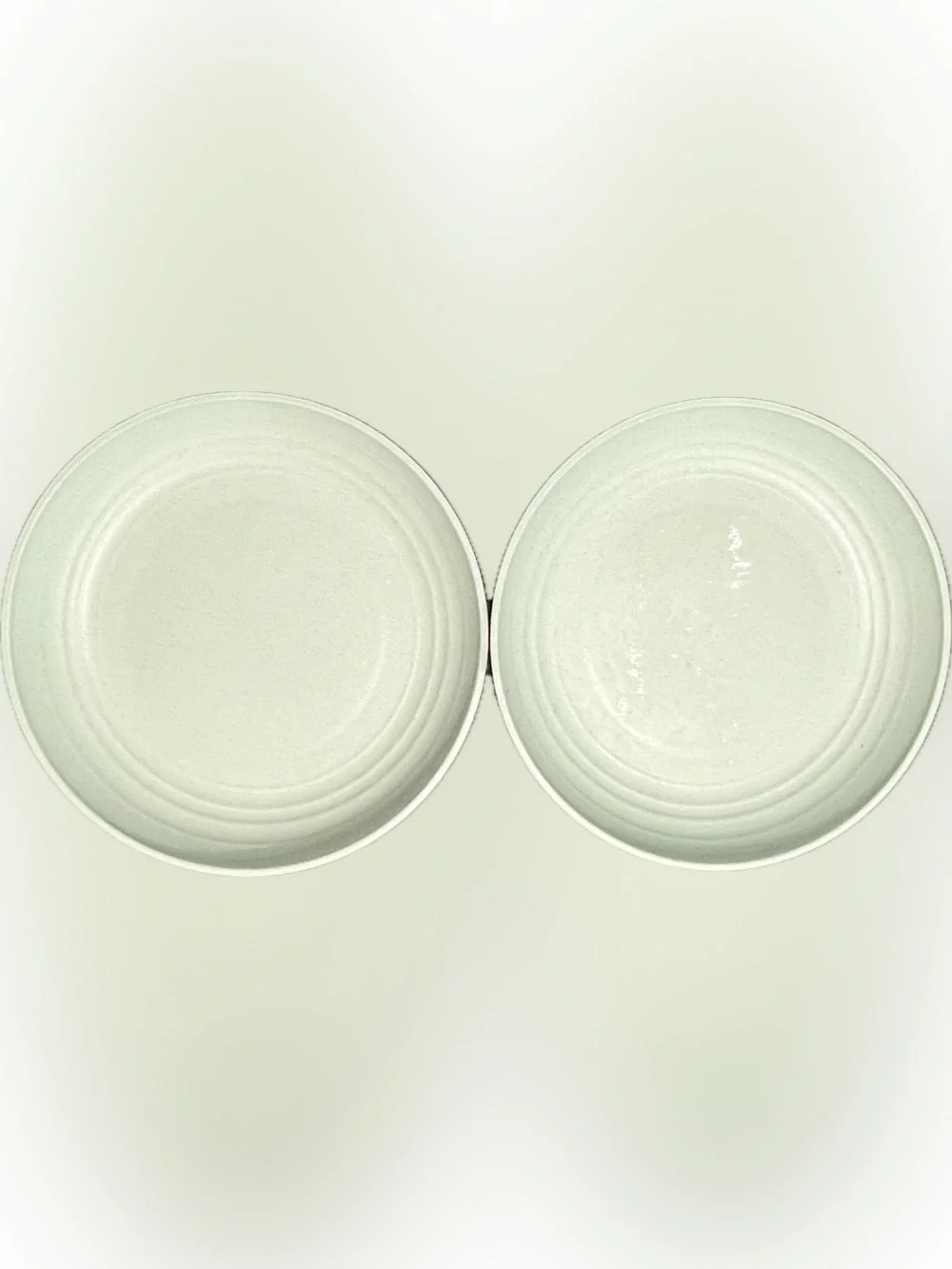 DeeCoo Dinner Plates Pale Green Chip Resistant Set of 2